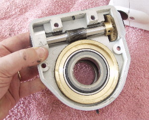 The EQ6 worm carrier