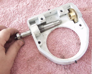 Removing the worm from the carrier