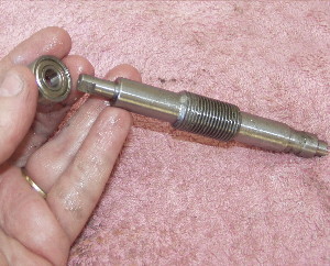 The worm and its end bearing