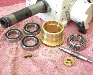 EQ6/Atlas bearings and worm gears after cleaning