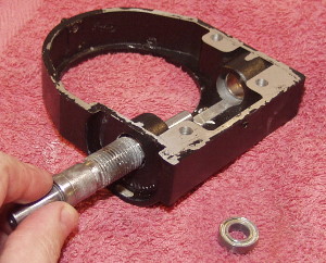 extracting the worm from the carrier